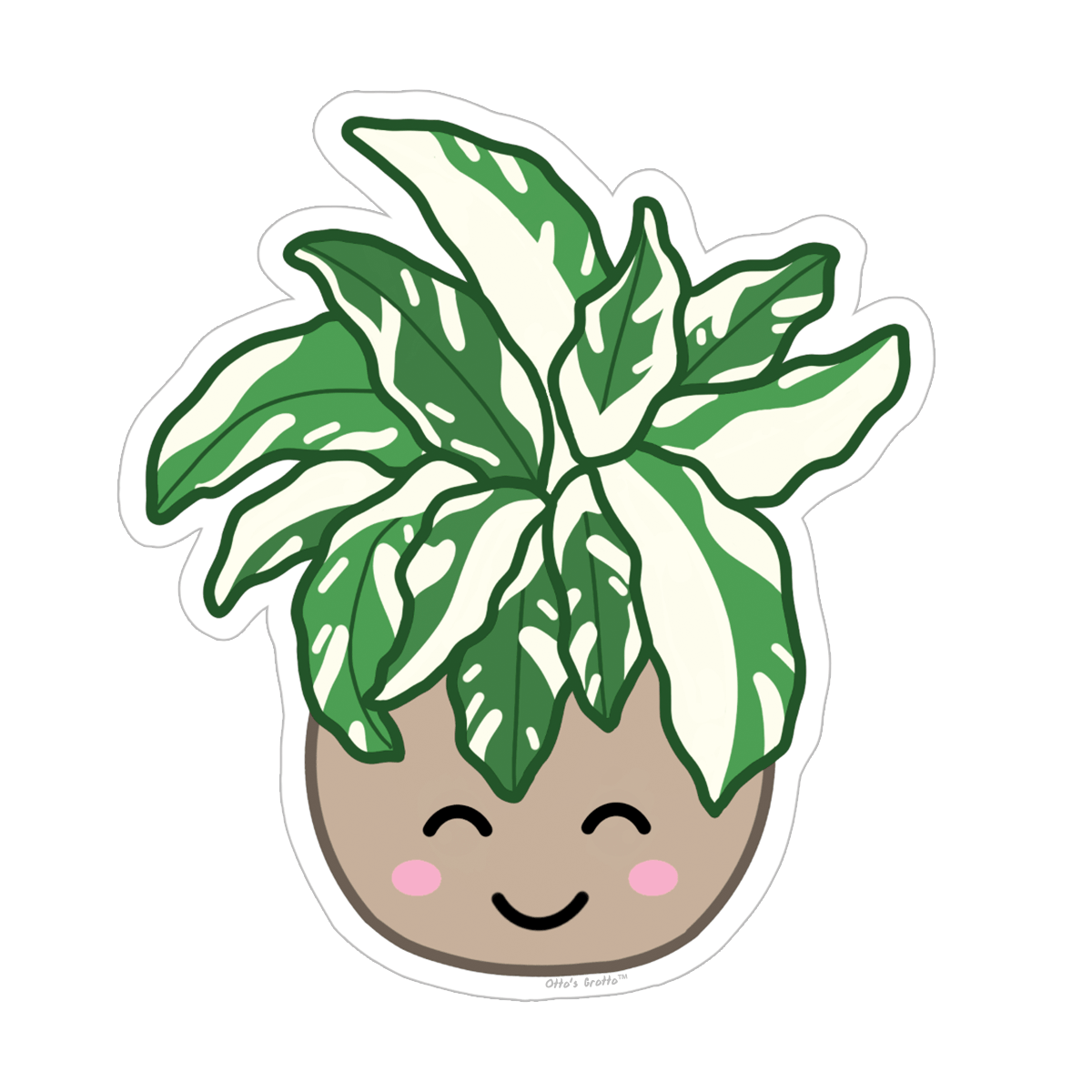 Rare Plant White Fusion Calathea Sticker, Variegated Calethea Sticker, Calethea Fusion White Sticker, Prayer Plant, Variegated Plant Sticker