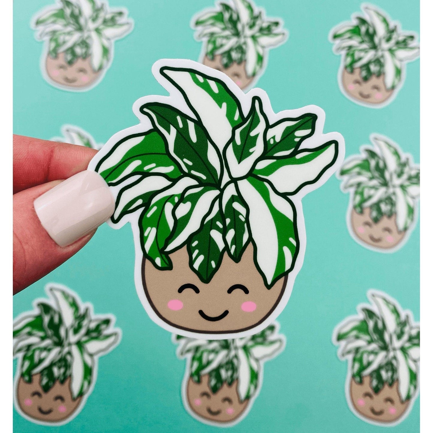 Rare Plant White Fusion Calathea Sticker, Variegated Calethea Sticker, Calethea Fusion White Sticker, Prayer Plant, Variegated Plant Sticker - Ottos Grotto :: Stickers For Your Stuff