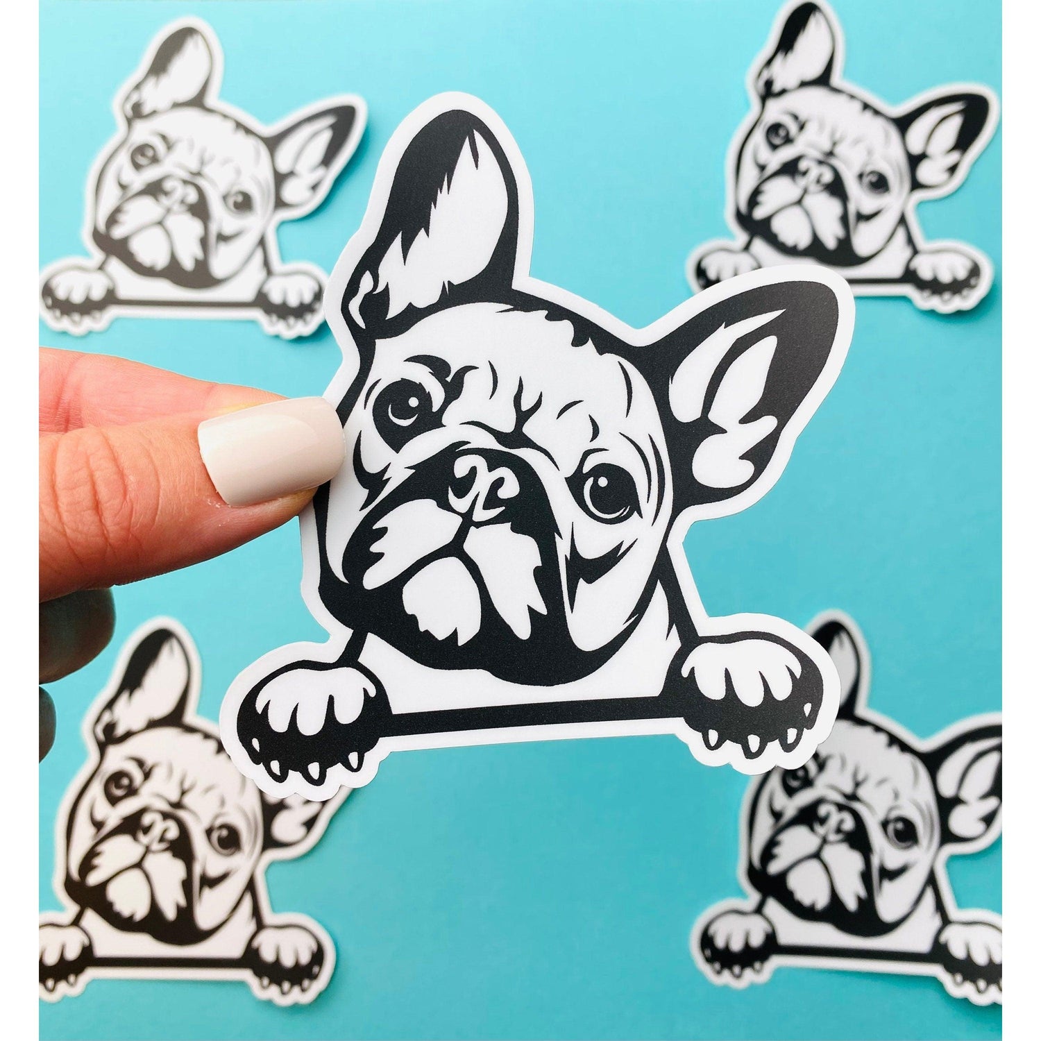 French Bulldog Sticker Black & White Frenchie Bulldog Head Paws Dog Decal for Car, Water Bottle - Ottos Grotto :: Stickers For Your Stuff