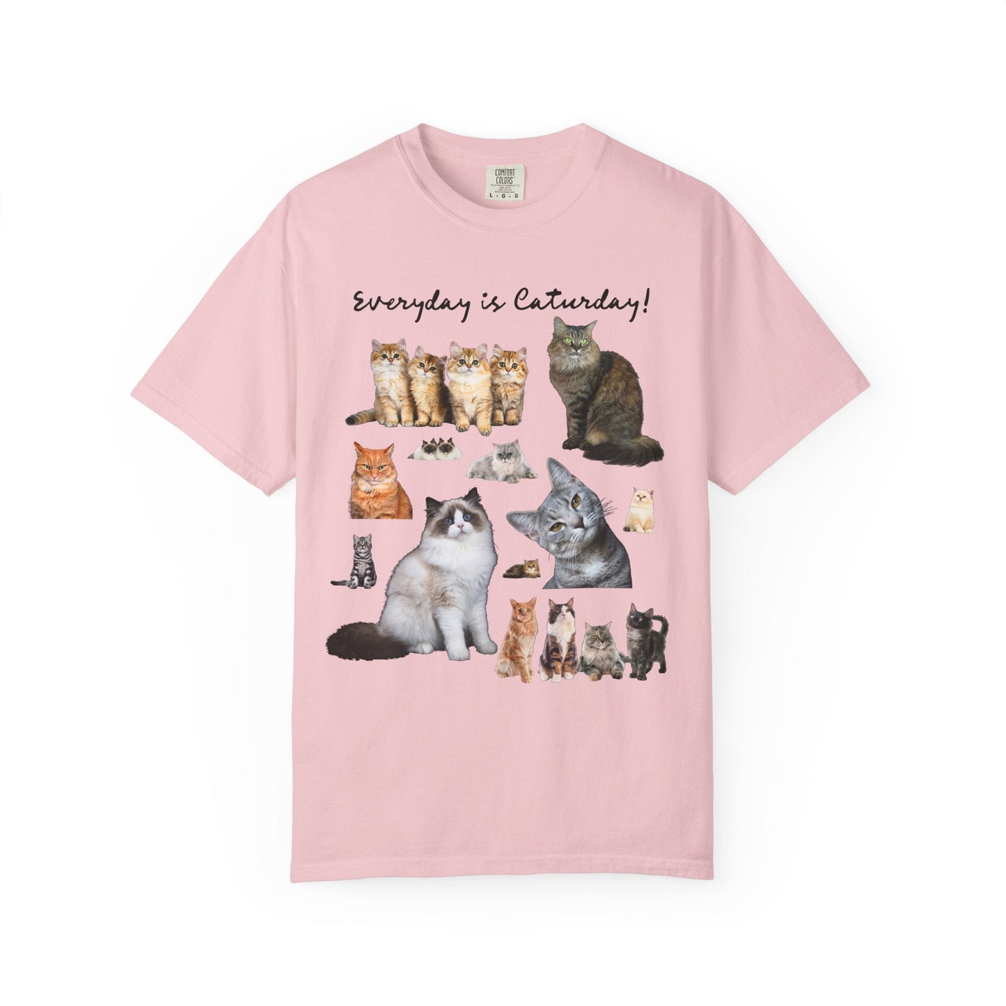 Cat Lover T-Shirt with Photos of Kittens and Cats