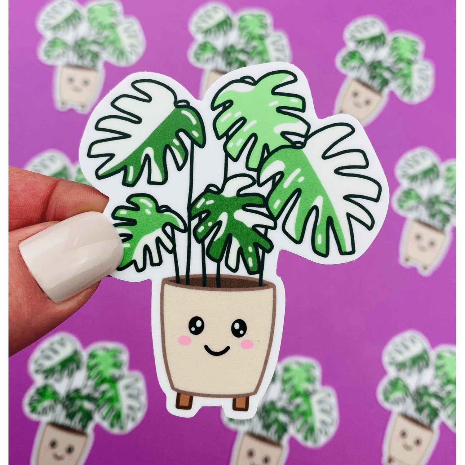 house plant stickers Variegated Monstera Plant Sticker, Rare Plant Sticker for Plant Lover, Rare Houseplant Sticker for Green Thumbs, Plant Lover Gift