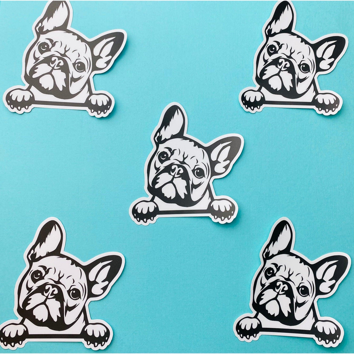 French Bulldog Sticker Black & White Frenchie Bulldog Head Paws Dog Decal for Car, Water Bottle - Ottos Grotto :: Stickers For Your Stuff