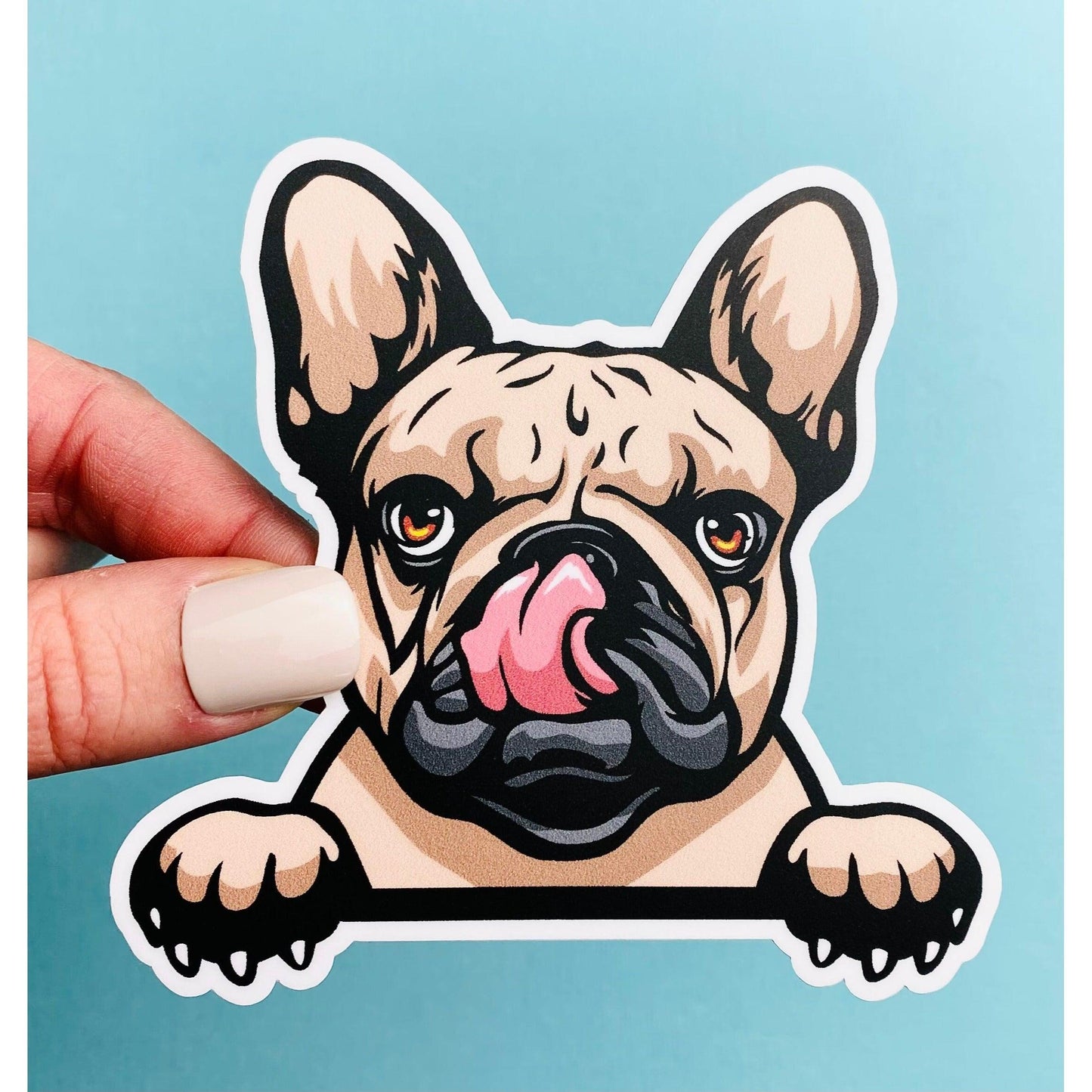Peeking French Bulldog Sticker 4” x 4” Brown Peeking Bulldog with Paws Frenchie Sticker - Ottos Grotto :: Stickers For Your Stuff
