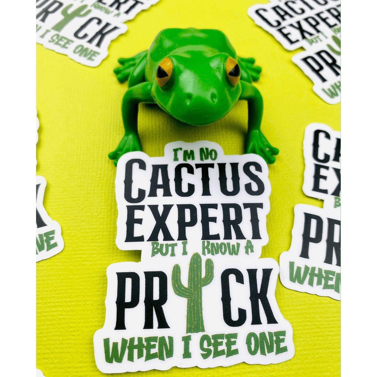I'm No Cactus Expert Sticker I Know A Prick When I See One Sarcastic Sticker for Women Southwest Humor Western Stickers - Ottos Grotto :: Stickers For Your Stuff