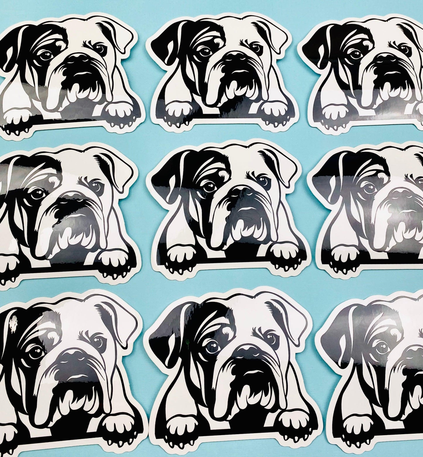 English Bulldog Sticker Black & White English Bulldog Head Paws Dog Decal for Car, Water Bottle - Ottos Grotto :: Stickers For Your Stuff