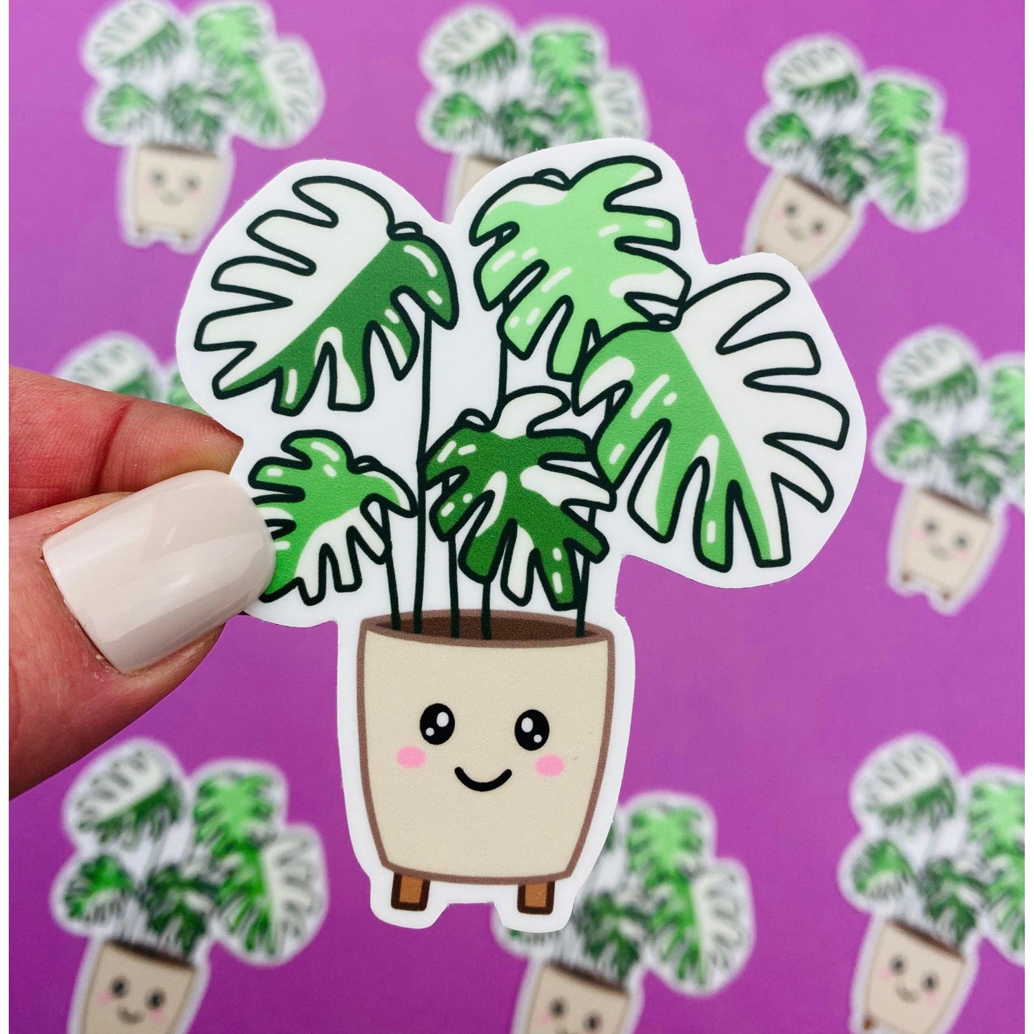 Plant Mama Sticker Pack (4 Pack) Variegated Plants, Monstera, Pink