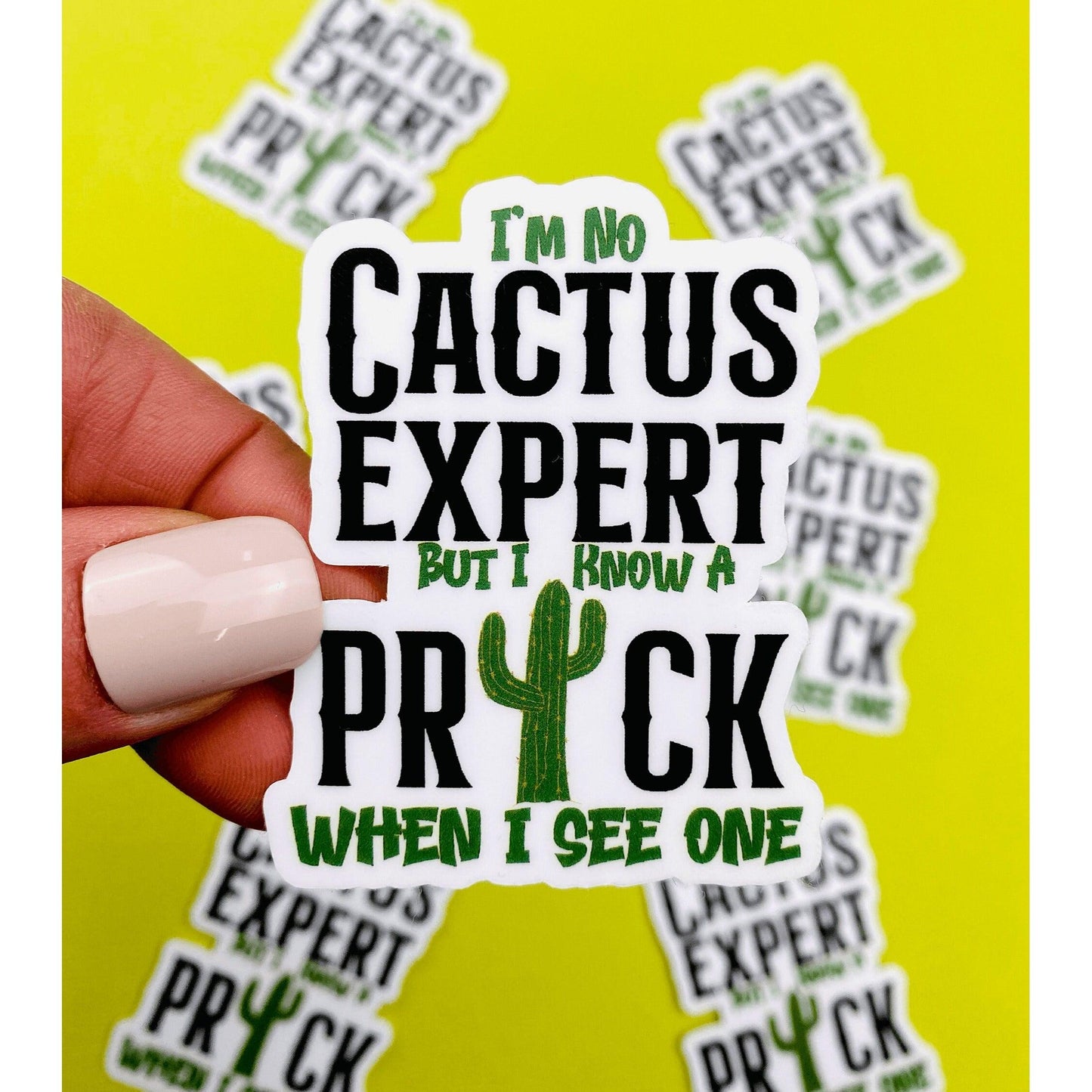 I'm No Cactus Expert Sticker I Know A Prick When I See One Sarcastic Sticker for Women Southwest Humor Western Stickers - Ottos Grotto :: Stickers For Your Stuff